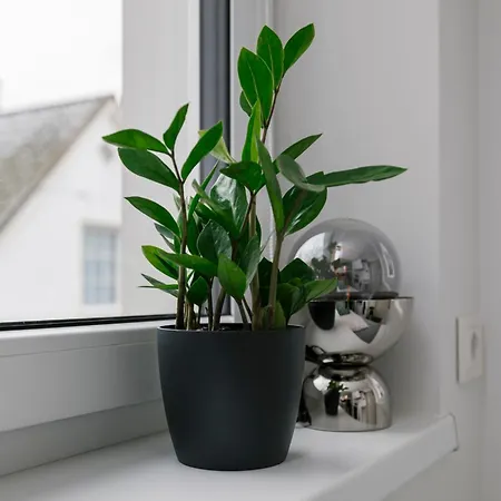 Apartment For One - White Tallinn