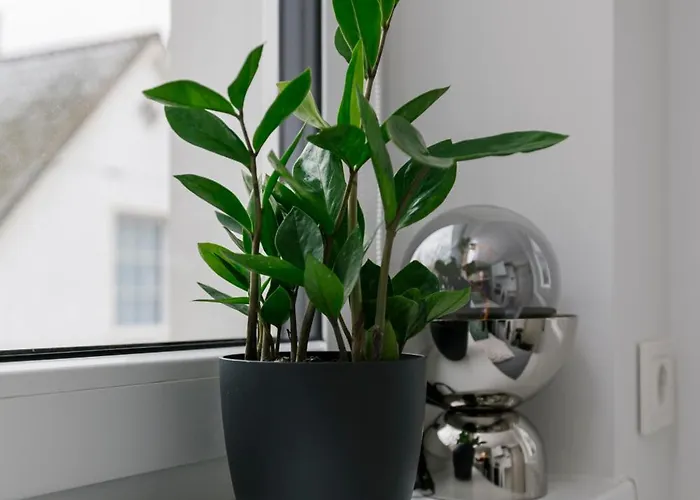 Appartement For One - White Tallinn